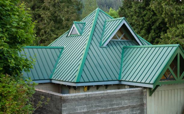 Best Roof Waterproofing  in Walker, MI
