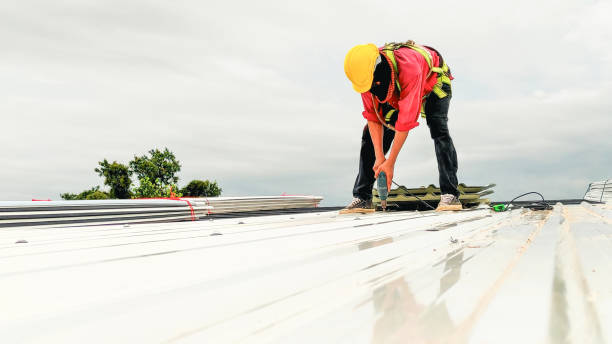 Best Metal Roofing Installation  in Walker, MI