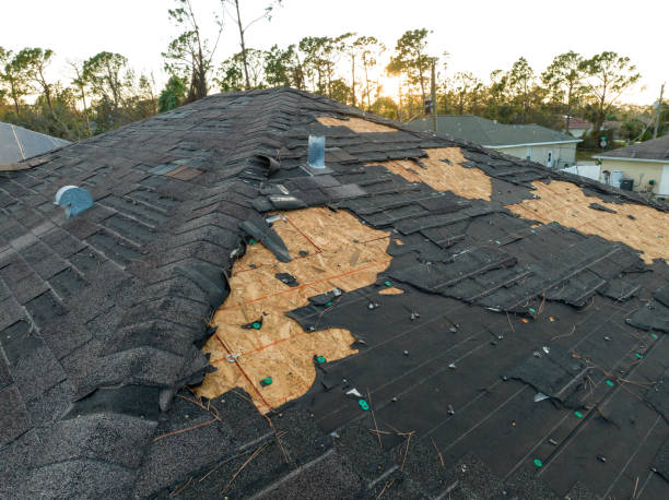 Best Asphalt Shingle Roofing  in Walker, MI