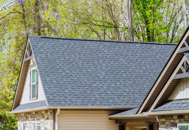 Best Solar Panel Roofing Installation  in Walker, MI