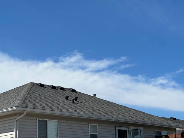 Best Gutter Installation and Repair  in Walker, MI